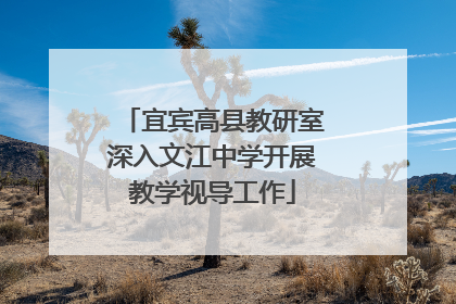 宜宾高县教研室深入文江中学开展教学视导工作