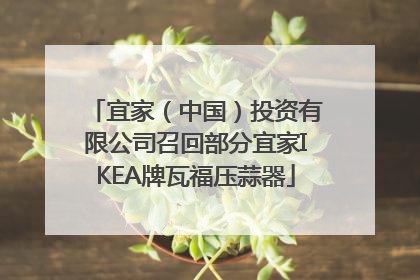 宜家（中国）投资有限公司召回部分宜家IKEA牌瓦福压蒜器