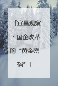 宜昌观察：国企改革的“黄金密码”