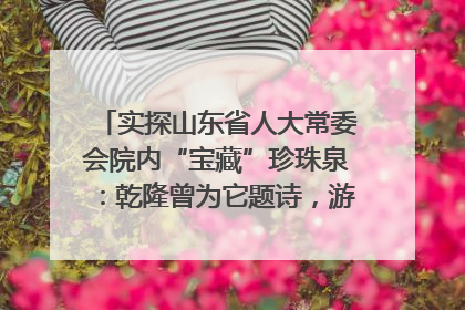 实探山东省人大常委会院内“宝藏”珍珠泉：乾隆曾为它题诗，游客无需预约免费游览