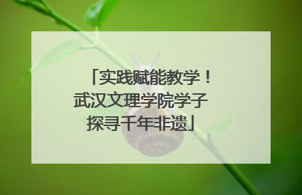 实践赋能教学！武汉文理学院学子探寻千年非遗