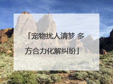 宠物扰人清梦 多方合力化解纠纷