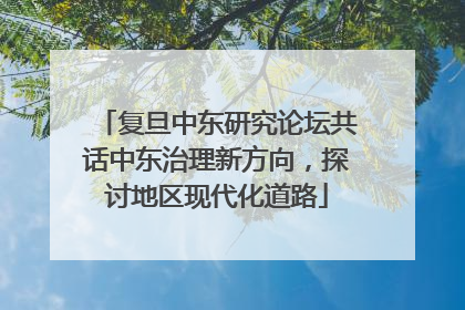 复旦中东研究论坛共话中东治理新方向，探讨地区现代化道路