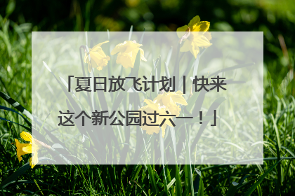 夏日放飞计划｜快来这个新公园过六一！