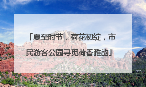 夏至时节，荷花初绽，市民游客公园寻觅荷香雅韵