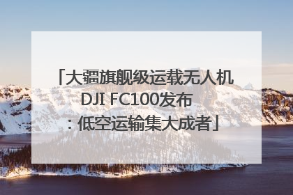 大疆旗舰级运载无人机DJI FC100发布：低空运输集大成者