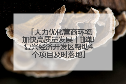 大力优化营商环境 加快高质量发展丨邯郸复兴经济开发区帮助4个项目及时落地
