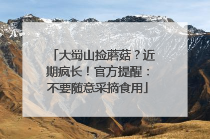 大蜀山捡蘑菇？近期疯长！官方提醒：不要随意采摘食用