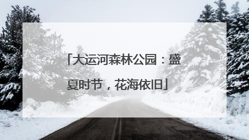 大运河森林公园：盛夏时节，花海依旧