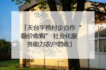 天台平桥村企合作“稳价收购” 社会化服务助力农户增收