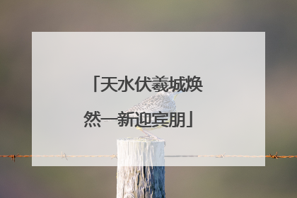 天水伏羲城焕然一新迎宾朋