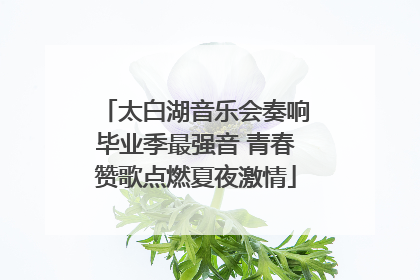 太白湖音乐会奏响毕业季最强音 青春赞歌点燃夏夜激情