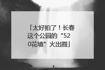 太好拍了！长春这个公园的“520花墙”火出圈