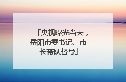 央视曝光当天，岳阳市委书记、市长带队督导