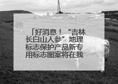 好消息！“吉林长白山人参”地理标志保护产品新专用标志图案将在我省推广使用