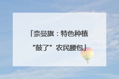 奈曼旗：特色种植“鼓了”农民腰包
