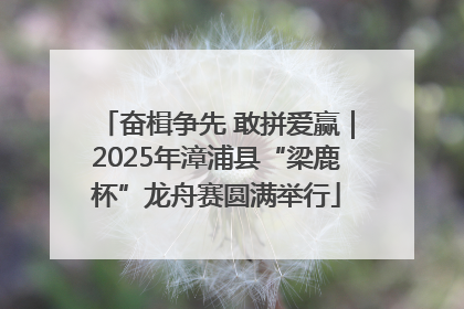 奋楫争先 敢拼爱赢｜2025年漳浦县“梁鹿杯”龙舟赛圆满举行