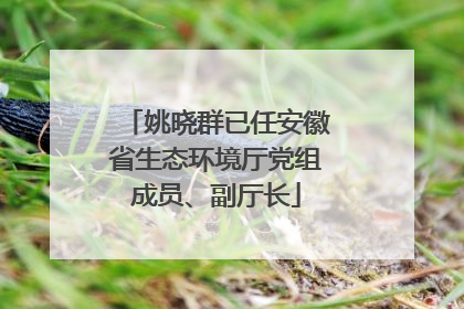 姚晓群已任安徽省生态环境厅党组成员、副厅长