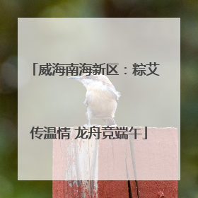 威海南海新区：粽艾传温情 龙舟竞端午