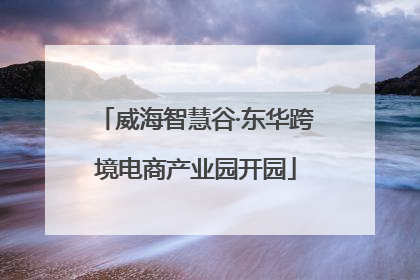 威海智慧谷·东华跨境电商产业园开园