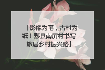 影像为笔，古村为纸！黟县南屏村书写旅居乡村振兴路