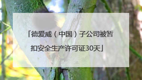 德爱威（中国）子公司被暂扣安全生产许可证30天