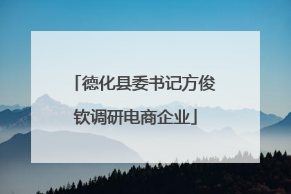 德化县委书记方俊钦调研电商企业