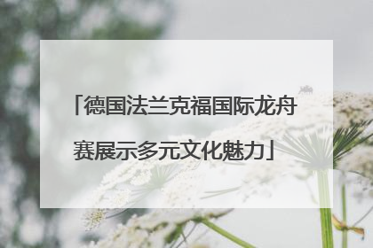 德国法兰克福国际龙舟赛展示多元文化魅力