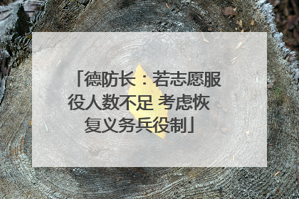 德防长：若志愿服役人数不足 考虑恢复义务兵役制