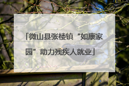 微山县张楼镇“如康家园”助力残疾人就业