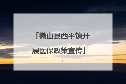 微山县西平镇开展医保政策宣传