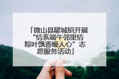微山县驩城镇开展“情系端午邻里情 粽叶飘香暖人心”志愿服务活动