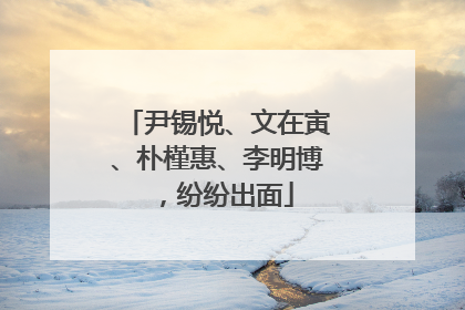 尹锡悦、文在寅、朴槿惠、李明博，纷纷出面