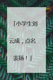 小学生刘云成，点名表扬！