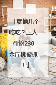 就摘几个吃吃？三人偷摘230余斤桃被抓！