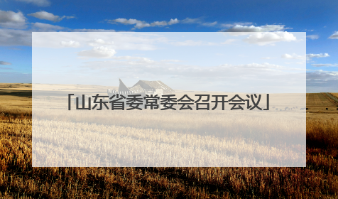 山东省委常委会召开会议