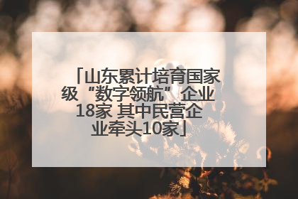 山东累计培育国家级“数字领航”企业18家 其中民营企业牵头10家