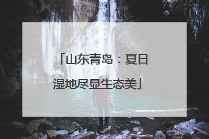 山东青岛：夏日湿地尽显生态美