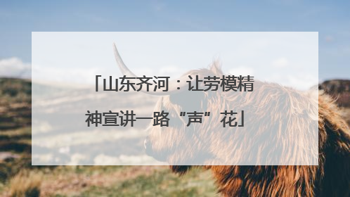 山东齐河：让劳模精神宣讲一路“声”花