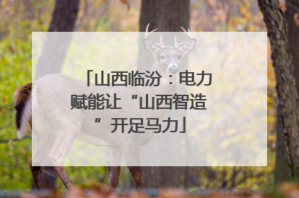 山西临汾：电力赋能让“山西智造”开足马力