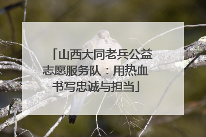 山西大同老兵公益志愿服务队：用热血书写忠诚与担当