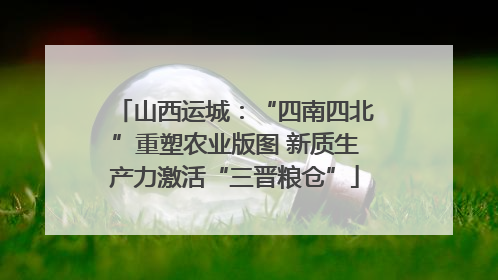 山西运城：“四南四北”重塑农业版图 新质生产力激活“三晋粮仓”