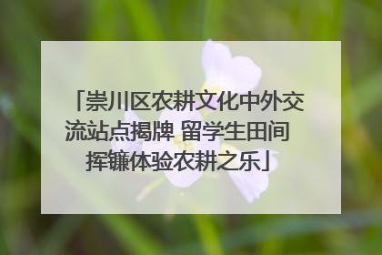 崇川区农耕文化中外交流站点揭牌 留学生田间挥镰体验农耕之乐