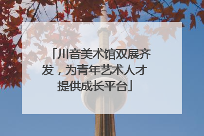 川音美术馆双展齐发，为青年艺术人才提供成长平台