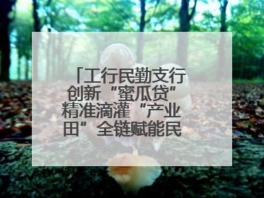 工行民勤支行创新“蜜瓜贷”精准滴灌“产业田”全链赋能民勤乡村振兴