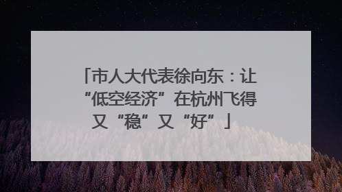 市人大代表徐向东：让“低空经济”在杭州飞得又“稳”又“好”