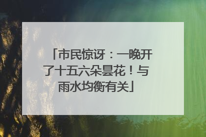 市民惊讶：一晚开了十五六朵昙花！与雨水均衡有关