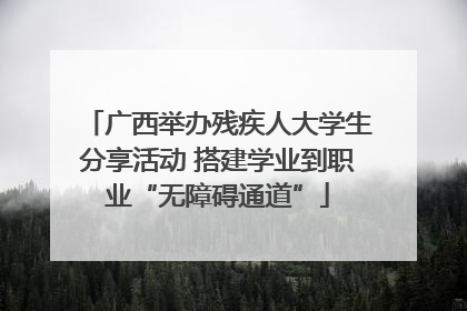 广西举办残疾人大学生分享活动 搭建学业到职业“无障碍通道”