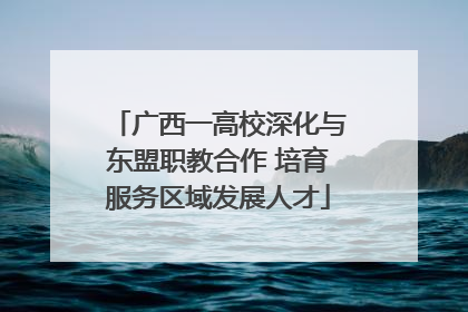 广西一高校深化与东盟职教合作 培育服务区域发展人才