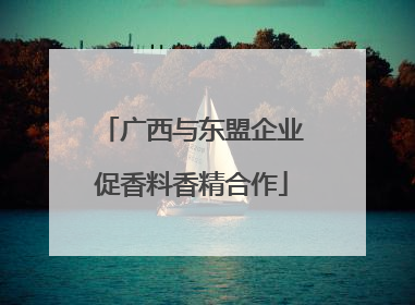 广西与东盟企业促香料香精合作